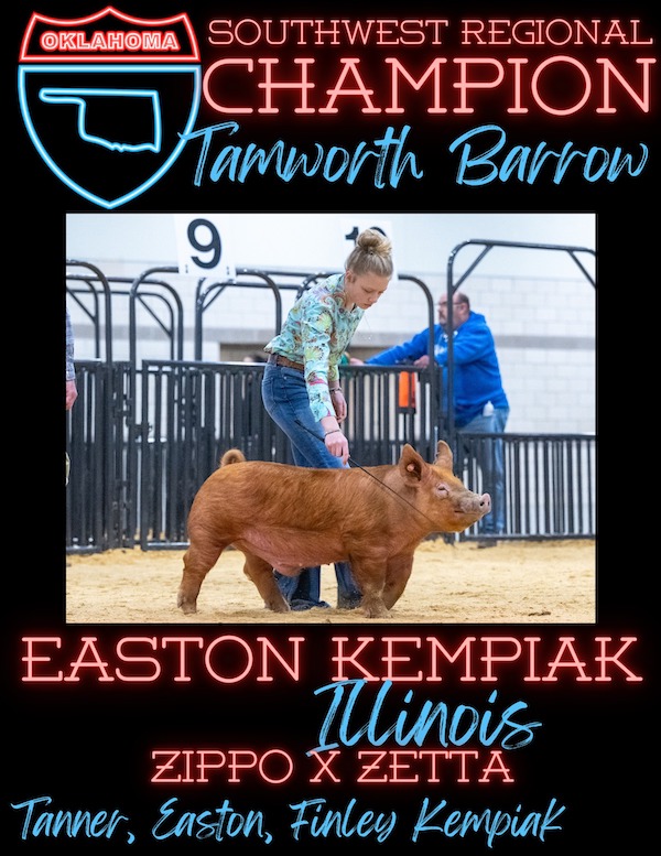 Champion Tamworth Barrow 2023 TP Southwest Regional