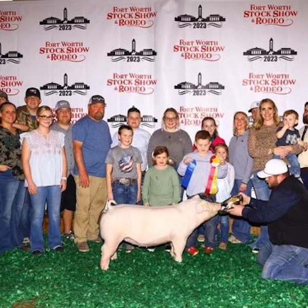 Reserve Champion Chester Gilt 2023 Fort Worth Stock Show