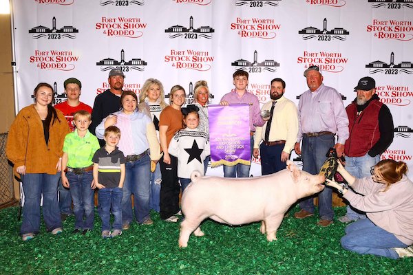 Grand Overall Gilt & Champion Yorkshire 2023 Ft. Worth Stock Show