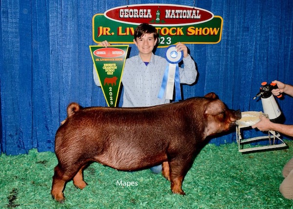 Reserve Champion Duroc Gilt 2023 Georgia National Jr Livestock Show