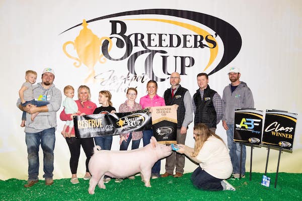 7th Overall Gilt & Reserve Yorkshire 2023 Breeder's Cup