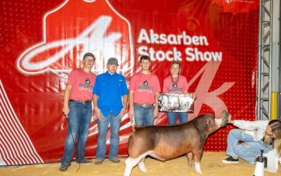 Reserve Champion Hereford Market Hog – 2023 Aksarben