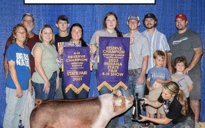 Reserve Champion Hereford Barrow – 2023 Indiana State Fair Jr Show