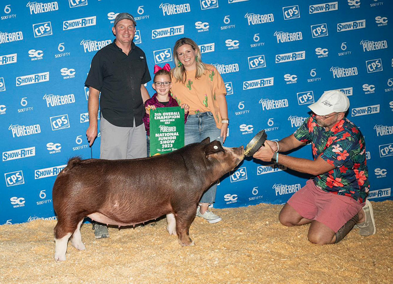 5th Overall Hereford Gilt – 2023 Team Purebred National Jr Show